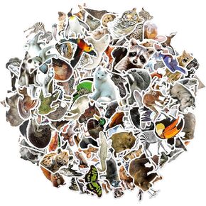 200 Pcs Forest Realistic Animal Stickers, Wild Animals Aesthetic Decals Vinyl Waterproof Jungle Animal Stickers Cute Colorful Zoo Animal Stickers for Girls Boys Students Water Bottle Laptop Scrapbook