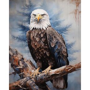 QACEYID Paint by Numbers Eagle for Adults, Acrylic Oil Painting by Numbers Kits for Beginner with Paintbrushes Brushes Art Crafts Canvas for Home Decor 16x20 inch