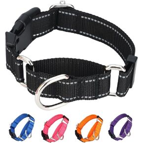 Martingale Collar for Dogs,Reflective No Pull Dog Collars with Quick Release Buckle,Adjustable Nylon Martingale Dog Collar for Walking Training(Purple, Large)