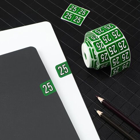 Teling 500 Pcs 2025 Year Stickers File Folder Labels Rectangle Coded Colored Year Stickers Self Adhesive Labels Tab File Folders Office Supplies, 1 Roll(Purple, Silver) in Kuwait