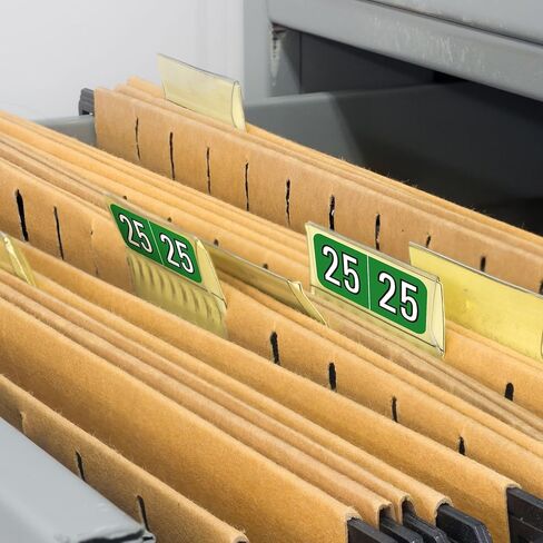 Teling 500 Pcs 2025 Year Stickers File Folder Labels Rectangle Coded Colored Year Stickers Self Adhesive Labels Tab File Folders Office Supplies, 1 Roll(Purple, Silver) in Kuwait