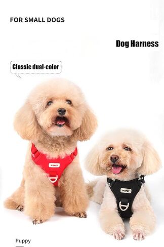 No Pull Dog Harness for Small Medium Dogs, Puppy Harness & Anti-Twist Leash Set, Adjustable & Padded, Puppy Harness with 2 Ultra-light Aluminum Alloy Leash Clips (Red, Large) in Saudi Arabia
