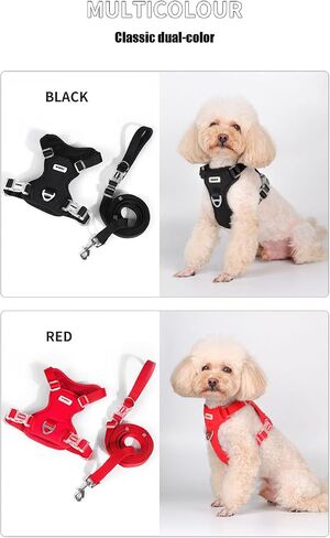 No Pull Dog Harness for Small Medium Dogs, Puppy Harness & Anti-Twist Leash Set, Adjustable & Padded, Puppy Harness with 2 Ultra-light Aluminum Alloy Leash Clips (Red, Large) in Saudi Arabia