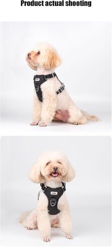 No Pull Dog Harness for Small Medium Dogs, Puppy Harness & Anti-Twist Leash Set, Adjustable & Padded, Puppy Harness with 2 Ultra-light Aluminum Alloy Leash Clips (Red, Large) in Saudi Arabia