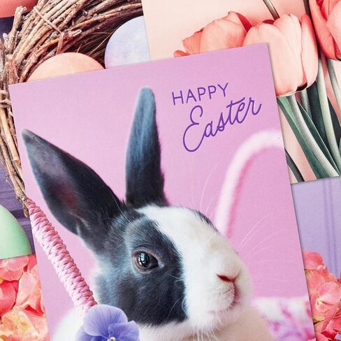 Hallmark Blank Cards Assortment, Spring Flowers and Butterflies (24 Cards with Envelopes) in Saudi Arabia