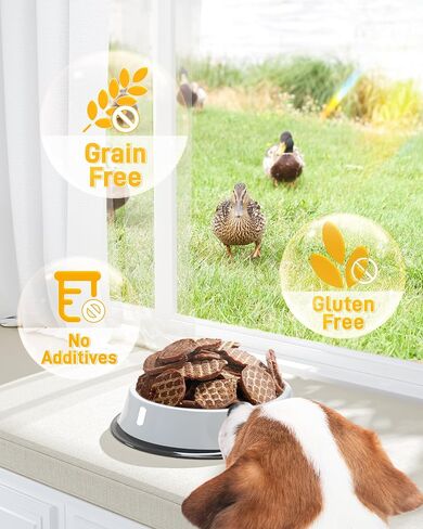 Chicken Chips Dog Treats, 10.58 oz Crunchy Training Treats for Dogs, Single Ingredient Dog Treat - Dried Chicken Jerky for All Breedd Dogs, 100% Natural in Saudi Arabia