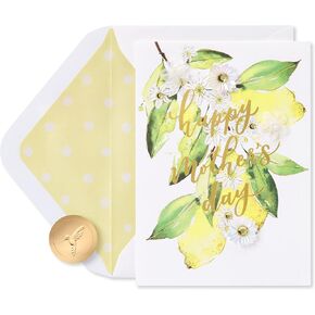 Papyrus Mothers Day Card (Love and Happy Moments)