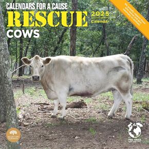 Bright Day Calendars 2025 Rescue Cows Monthly Wall Calendar (12 x 12 Inch)