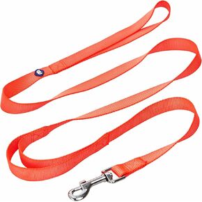 Blueberry Pet Essentials Double Handle Dog Leash for Traffic Control|5ft.x3/4" Medium Dog Leash|Classic Dog Leash with Two Handles for Dogs That Pull|Nylon 2 Handle Dog Leash in Florence Orange