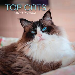 The Gifted Stationary 2025 Square Wall Calendar, Top Cats, 16-Month Animals Theme Hanging Calendar with 180 Reminder Stickers, Month Planner for Home and Creative Spaces, 12x12 In