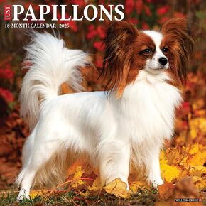 Papillons 2025 12" x 12" Wall Calendar