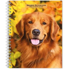 BrownTrout, Golden Retrievers 2025 Engagement Planner