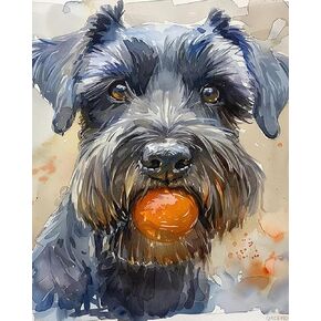 QACEYID Paint by Numbers Kits for Adults Beginners Black Schnauzer and Ball Digital Oil Paint by Number for Adults Easy Canvas for Home Wall Decoration and Gifts 16x20 inch