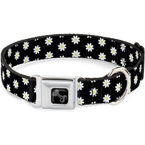 Dog Collar Seatbelt Buckle Daisies Scattered Black White Yellow 11 to 17 Inches 1.0 Inch Wide