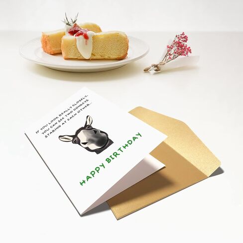 Chenive Funny Donkey Birthday for Him Her, Quirky Birthday Card for Friend Brother Sister, Humorous Birthday Greeting Card for Men Women, Two Donkeys Staring at Each Other in Kuwait