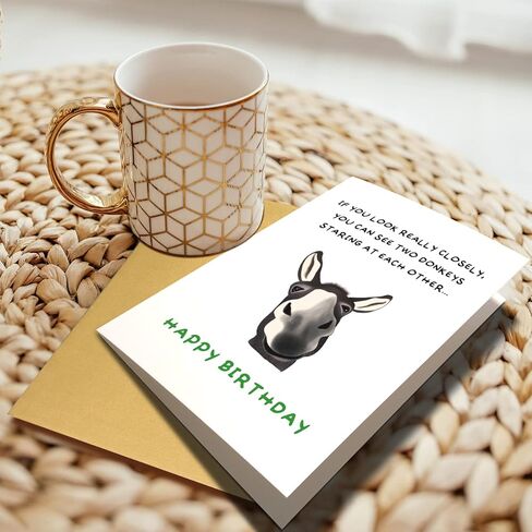 Chenive Funny Donkey Birthday for Him Her, Quirky Birthday Card for Friend Brother Sister, Humorous Birthday Greeting Card for Men Women, Two Donkeys Staring at Each Other in Kuwait
