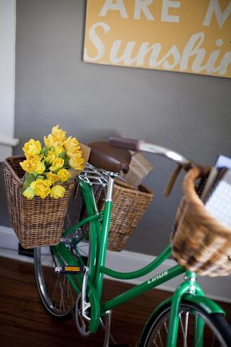 Bicycle Basket in Kuwait