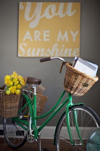 Bicycle Basket in Kuwait