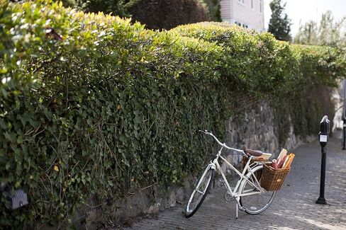 Bicycle Basket in Kuwait