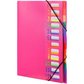 12 Pocket Expanding Project Sorter File Organizer, Office Folder Papers Portable Document Messenger Colored Holder Tabs Bag with Rope Closure