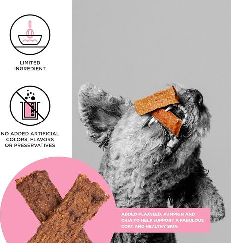 BIXBI Skin & Coat Support Salmon Jerky Dog Treats, 4 oz - USA Made Grain Free Dog Treats - Antioxidant Rich to Support Shiny, Full Bodied Coats - High in Protein, Whole Food Nutrition, No Fillers in Saudi Arabia