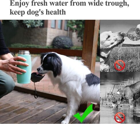 VIVAGLORY Dog Water Bottle, Pet Drinking Bottle, 25oz Portable & Leakproof Stainless Steel Dog Travel Water Bottle Bowl with Large Trough for Walking & Hiking, Mint Green in Saudi Arabia