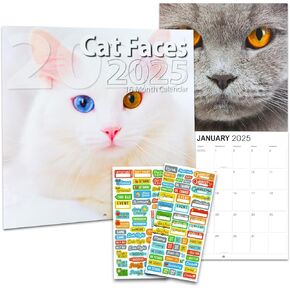 Cat Faces Calendar 2025 - Deluxe 2025 Cute Cats Wall Calendar Bundle with 100+ Calendar Reminder Stickers | Cat Office Supplies
