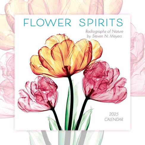 A Year of Hope and Inspiration 2025 Mini Calendar — By Deborah Mori, 7" x 7" in Kuwait