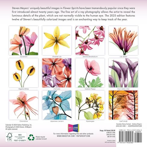 A Year of Hope and Inspiration 2025 Mini Calendar — By Deborah Mori, 7" x 7" in Kuwait