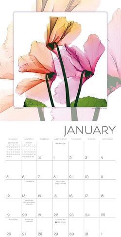 A Year of Hope and Inspiration 2025 Mini Calendar — By Deborah Mori, 7" x 7" in Kuwait