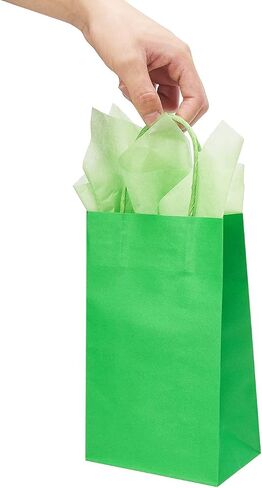 DjinnGlory 24 Pack Small Green Paper Gift Bags with Handles 9x5.5x3.15 Inch and Green Tissue Paper for Party Favors Goodies, Small Business, Merhandises (Solid Green) in Saudi Arabia