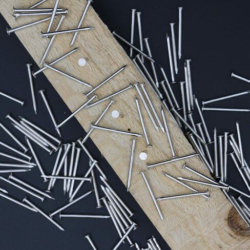 500pcs Hardware Nails, 1 Inch Nickel Plated Hanging Nails, Wall Nails for Picture Hanging, Wood Nails, Wire Nails, Small Nails (1 in) in Saudi Arabia