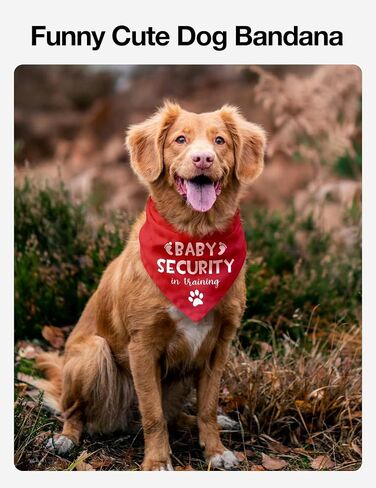 Adopt Me I’m A Foster Bandana, Adopt Me Pet Dog Scarf Accessories Props Announcement Dog Bandana, Red Adopt Me Bandanas for Dogs, Pet Dog Rescue Gifts in Kuwait
