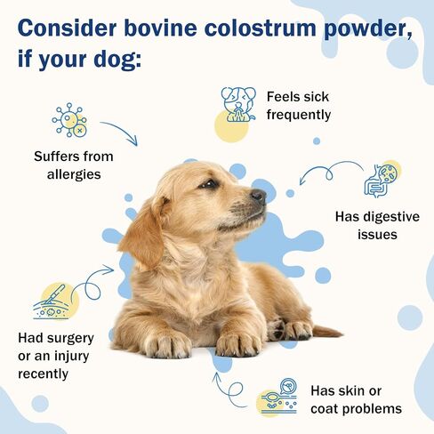 Bovine Colostrum for Dogs, 50% IgG, Immune Support for Dog Allergy and Itch Relief, 2 Oz Organics Pure Grass-Fed Colostrum Power for Dogs, Promote Skin and Gut Health, Licking Paws Relief in Saudi Arabia