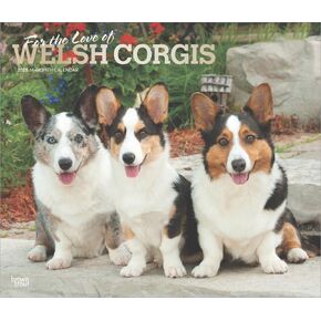 For the Love of Welsh Corgis | 2025 14 x 24 Inch Monthly Deluxe Wall Calendar | Foil Stamped Cover | BrownTrout | Animal Dog Breeds