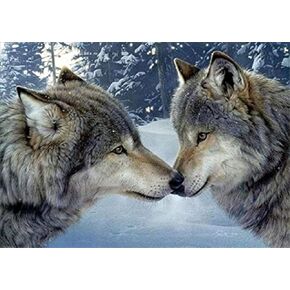 RICUVED Diamond Art Kits, Wolf Diamond Art Kits for Adults Full Drill Diamond Art Two Wolves Rhinestone Embroidery Arts Craft for Home Wall Decor 16x12 inch