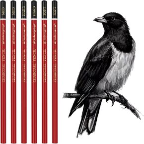 Heshengping Professional Charcoal Pencils Drawing Set Sketching Kit -6 Pieces Soft, Medium Hard Charcoal Pencils for Drawing Sketching Shading Artist Pencils for Beginners Artists