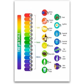 The pH Scale Poster - PH Examples Chart For Science Classrooms - 12 x 18 Inch Premium Gloss Poster - For Classrooms Dorms And Home Decor - Made in USA - FHJP0348