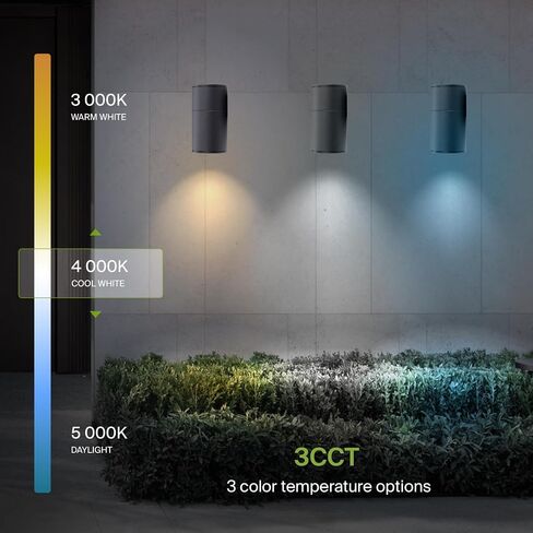 ASD LED 2-Way Round Cylinder Wall Light Fixture | 30W 900LM RGB-2700K-6500K 120V | Smart, Multicolor, Waterproof, ETL Listed | Exterior Patio Up-Down Lighting Sconce, Outdoor Lamp | Black, 2 Pack in Saudi Arabia