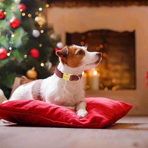 Unique Style Paws Christmas Dog Collar Plastic Buckle with Pendant Red Scottish Grid Cotton Puppy Collars for Small Medium Large Dogs in Saudi Arabia