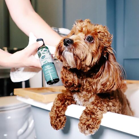 Ark Naturals Ears All Right Gentle Ear Cleansing Lotion for Dogs, Relieve Issues with Infection, Allergies, Odor and Wax, Natural Botanical Formula, 4 oz Bottle in Saudi Arabia
