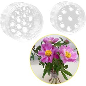 Taoxiwave Spiral Ikebana Stem Holder, Set of 2 Flower Arrangement Holders for Vase Floral Stems Bouquets Plant Fixation (Clear(S+L))