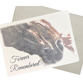 Groomers Margins Loss of Horse Sympathy Card with Envelope (5X7 Inches, 1 Textured Card, Message Inside) horse condolences card for loss of horses. Also for equine veterinary practice - 71