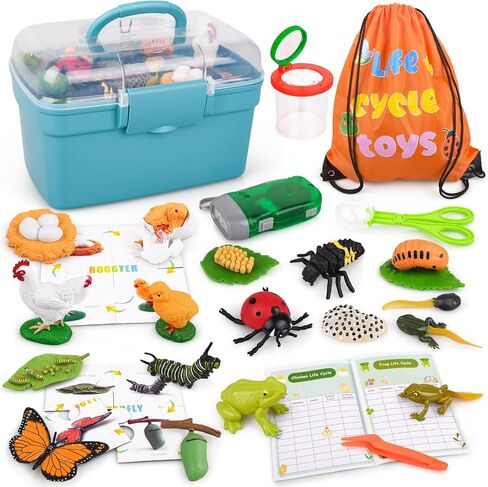 Life Cycle Learning & Education Toys, Montessori Toys Animal Toy Figurines for Frog, Butterfly, Chicken, Ladybug - Educational & Fun Matching Game Preschool Learning Toys Outdoor Explorer Kit in Saudi Arabia