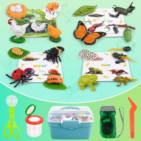 Life Cycle Learning & Education Toys, Montessori Toys Animal Toy Figurines for Frog, Butterfly, Chicken, Ladybug - Educational & Fun Matching Game Preschool Learning Toys Outdoor Explorer Kit in Saudi Arabia