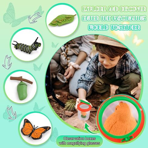 Life Cycle Learning & Education Toys, Montessori Toys Animal Toy Figurines for Frog, Butterfly, Chicken, Ladybug - Educational & Fun Matching Game Preschool Learning Toys Outdoor Explorer Kit in Saudi Arabia