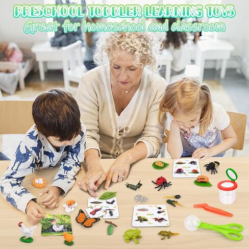 Life Cycle Learning & Education Toys, Montessori Toys Animal Toy Figurines for Frog, Butterfly, Chicken, Ladybug - Educational & Fun Matching Game Preschool Learning Toys Outdoor Explorer Kit in Saudi Arabia