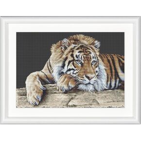 Thea Gouverneur - Counted Cross Stitch Kit - Tiger - Aida - 14 count - Embroidery Kit for Adults - DMC Embroidery Threads and other Cross Stitch Supplies Included - 579A