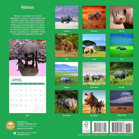 Bright Day Calendars 2025 Rhinos Monthly Wall Calendar - Cute Nature Photography Gift (12 x 12 Inch) in Saudi Arabia