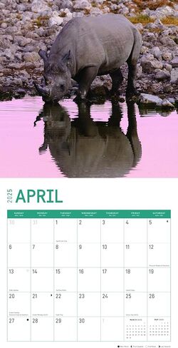 Bright Day Calendars 2025 Rhinos Monthly Wall Calendar - Cute Nature Photography Gift (12 x 12 Inch) in Saudi Arabia
